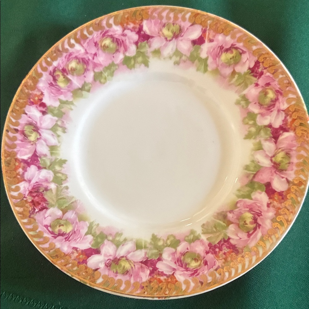 Elegant Floral Saucer with Pink and Green  floral Accents